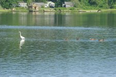 DSC_1826.jpg