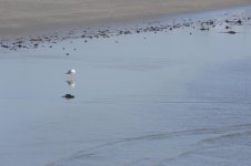 DSC_1903.jpg