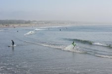 DSC_1910.jpg