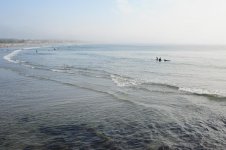 DSC_1912.jpg