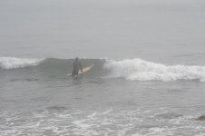 DSC_1949.jpg