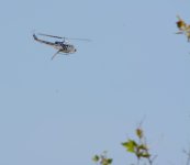 DSC_6817.JPG