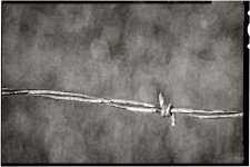 Day216-1.jpg