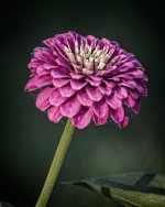 Day216-2.jpg