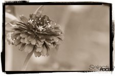 Day216-3.jpg