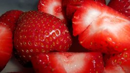 DSCN0877.jpg