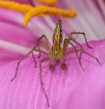 DSC_9499.jpg