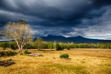 NEW_4441_HDR_webshot.jpg