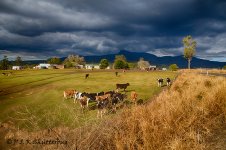 NEW_4434_HDR_webshot.jpg