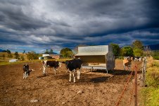 NEW_4412_HDR_webshot.jpg