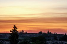 DSC_4540.jpg