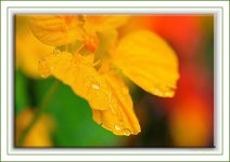droplets.jpg