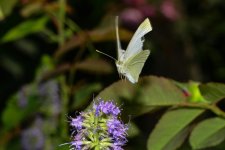 DSC_4110_edited.jpg