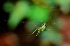 DSC_4588 (800x534) (2).jpg