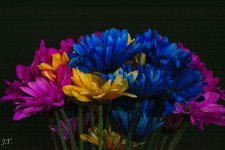D7100 #3 Flowers_034.jpg