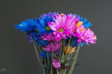 D7100 #3 Flowers_006.jpg