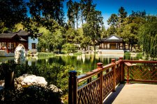 Tea House over Chinese Garden.jpg
