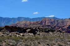 DSC_6833.JPG