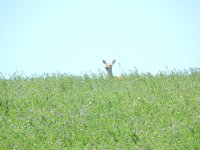 DSCN2154.jpg