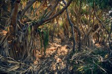 NEW_4546_HDR_webshot.jpg