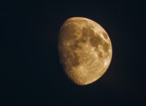 DSC_2050.jpg
