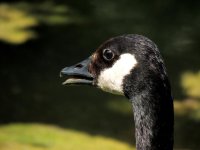 DSCN9215.jpg
