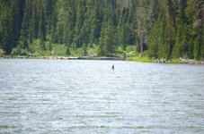 Fish Story #3.jpg