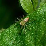 DSC_9697.jpg