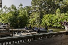 Lake Martin, Louisiana-Swamp Tour-3282.jpg