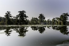 Lake Martin, Louisiana-Swamp Tour-3293-2.jpg