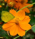 DSC_9750.jpg