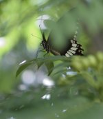 _DSC5726.jpg