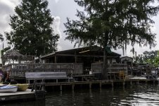 Lake Martin, Louisiana-Swamp Tour-3623.jpg