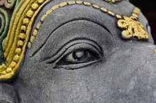 e-eyes-1.jpg