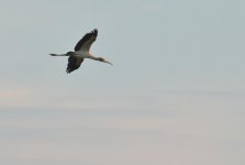 Copy - DSC_0923.jpg