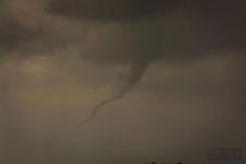 DSC_7704.jpg