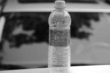 DSC_0337.jpg