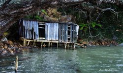 Deserted Boat Shed LOL.jpg