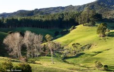 Rural New Zealand LOL.jpg
