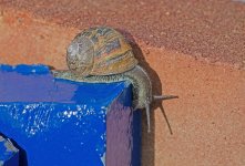 DSC_1238.jpg