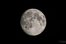 Day220-2.jpg