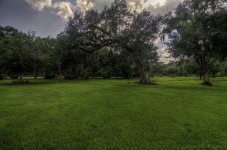 Avery Island, La--2.jpg