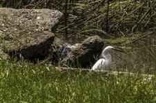 Avery Island, La-3649.jpg