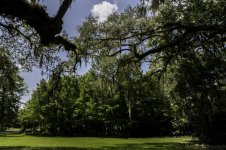 Avery Island, La-3681.jpg