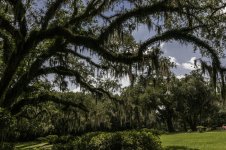 Avery Island, La-3716.jpg