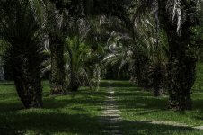 Avery Island, La-3721.jpg