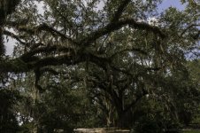 Avery Island, La-3742.jpg