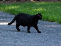 DSC_0366.jpg