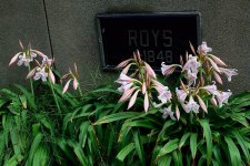 DSC_9827.jpg