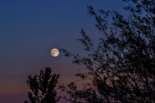 600_5817.jpg